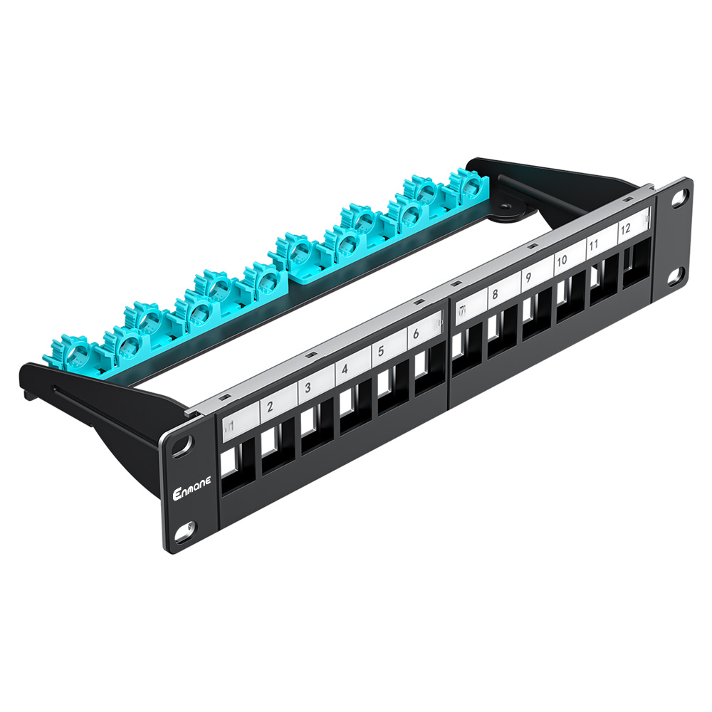 1U 12 Port-FTP Blank Patch Panel