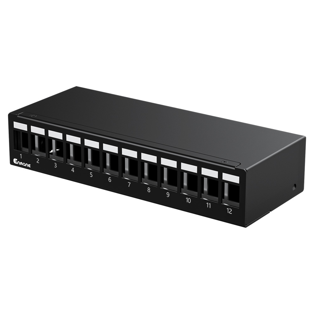 1U 12 Port-FTP Blank Patch Panel